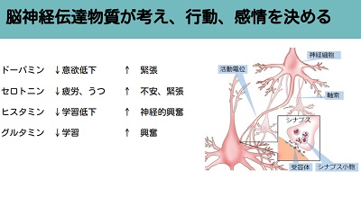 神経伝達物質
