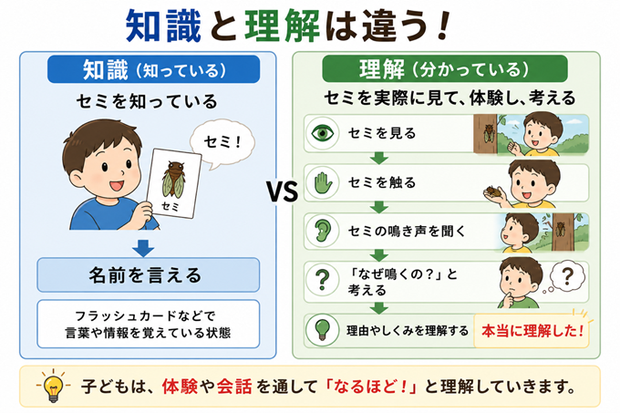 フラッシュカード効果　本文2枚目