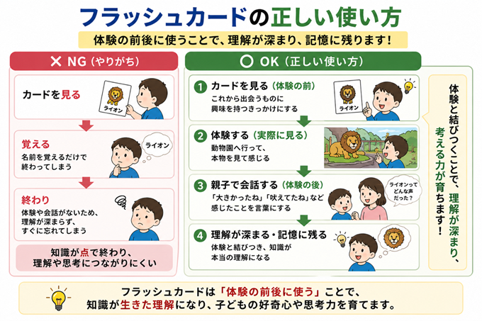 フラッシュカード　効果本文3枚目